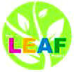 Leaf_Green3